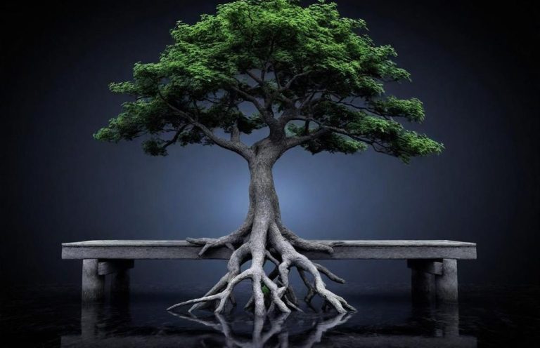 Baum mit ausladenden Wurzeln steht auf einer Bank vor dunklem Hintergrund.