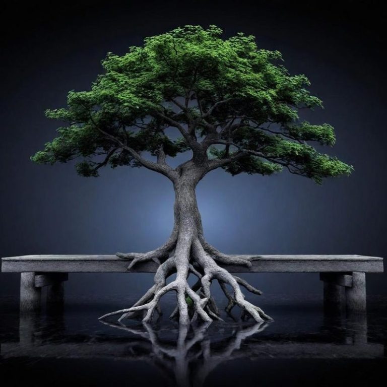 Ein Baum mit ausgedehnten Wurzeln sitzt auf einer Bank vor dunklem Hintergrund. Seine Wurzeln ragen in das Wasser.